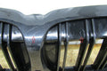 Maska (grill) Grill Zderzaka prednji Nerki BMW 3 G20 G21 18-21 (Dwa żebra)