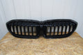 Maska (grill) Grill Zderzaka prednji Nerki BMW 3 G20 G21 18-21 5113192976-10
