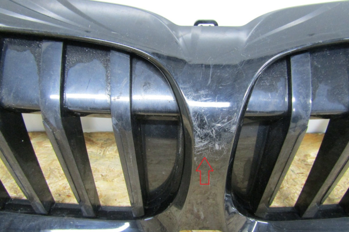 Maska (grill) Grill Zderzaka prednji Nerki BMW 3 G20 G21 18-21 5113192976-10