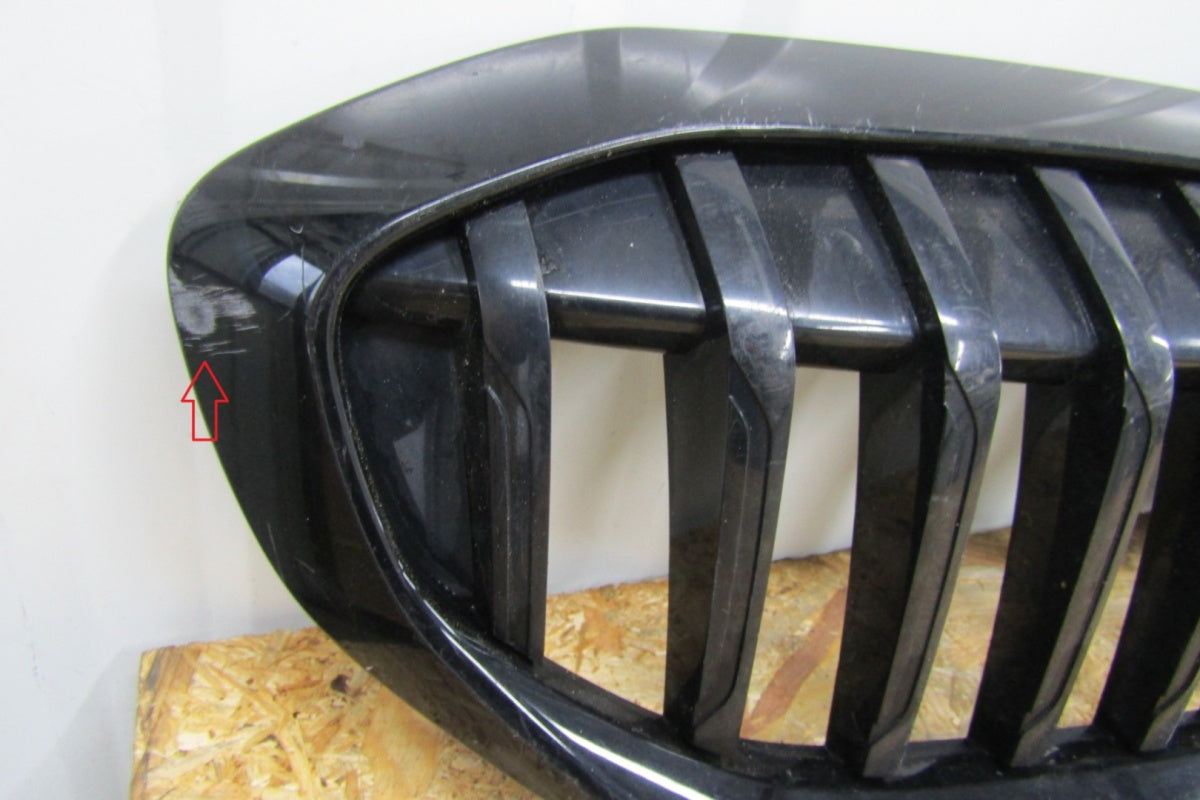 Maska (grill) Grill Zderzaka prednji Nerki BMW 3 G20 G21 18-21 5113192976-10
