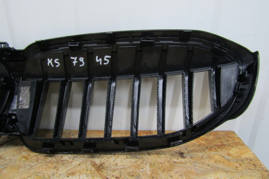 Maska (grill) Grill Zderzaka prednji Nerki BMW 3 G20 G21 18-21 5113192976-10
