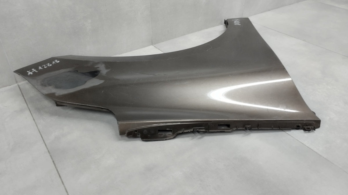 Blatobran desni prednji RENAULT SCENIC IV 4 16-19 631003924R