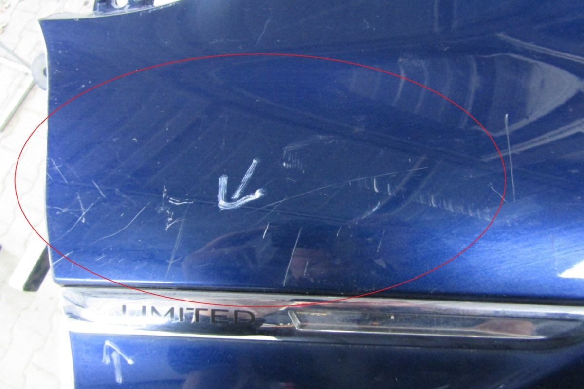 Blatobran desni prednji prednji RENAULT MEGANE IV 4 631005296R 16-