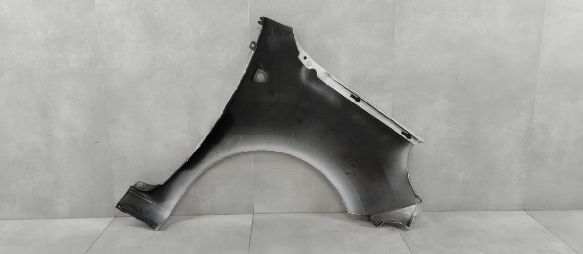 Blatobran lijevi prednji Renault Kangoo II 08-13 OEM 631010288R