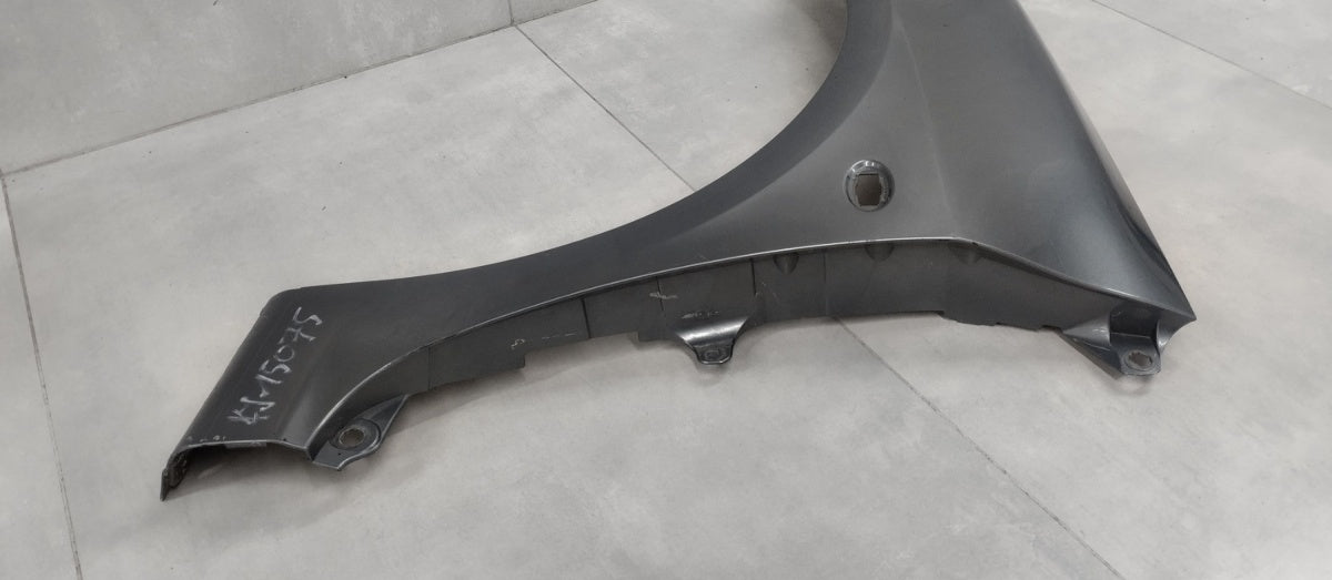 Blatobran lijevi prednji Peugeot 307 II Lift 05-08 / 965336467