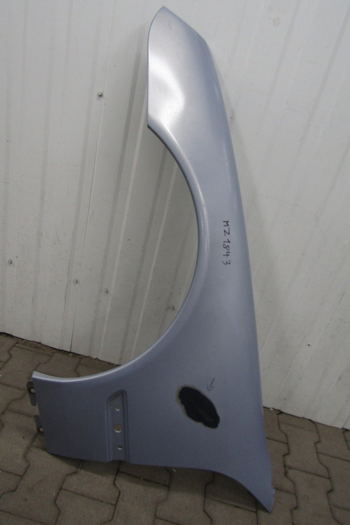 Blatobran lijevi prednji MERCEDES CL C215 W215 99-06