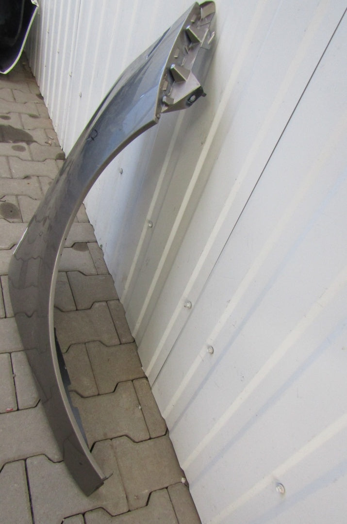 Blatobran prednji prednji desni RENAULT SCENIC 3 09-