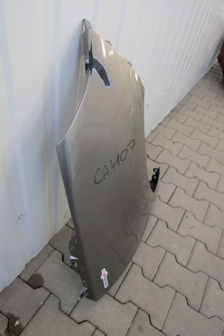 Blatobran prednji prednji desni RENAULT SCENIC 3 09-