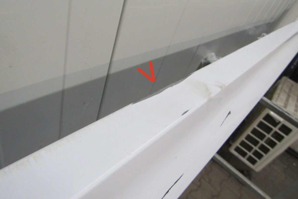 Lajsna praga lijevi Ford Fiesta MK8 ST 5D 18-