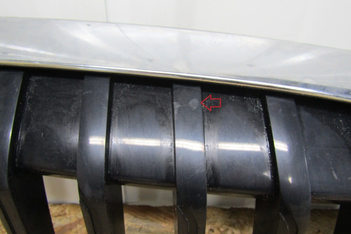 Maska (grill) Grill Zderzaka prednji Nerki BMW 3 G20 G21 18-21 5113192976-10